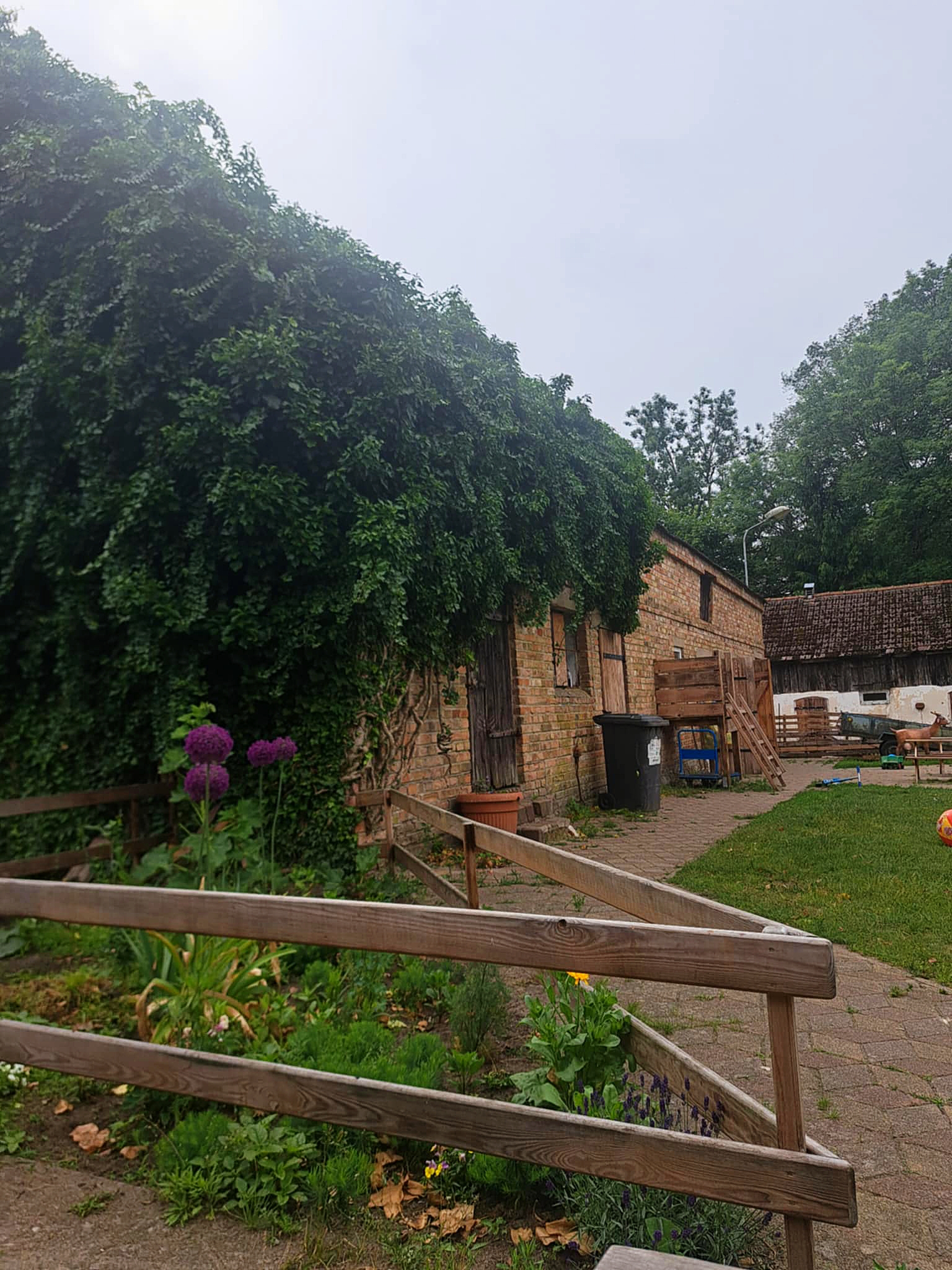 Agroturystyka - Farma u Michałów w Jeninku.