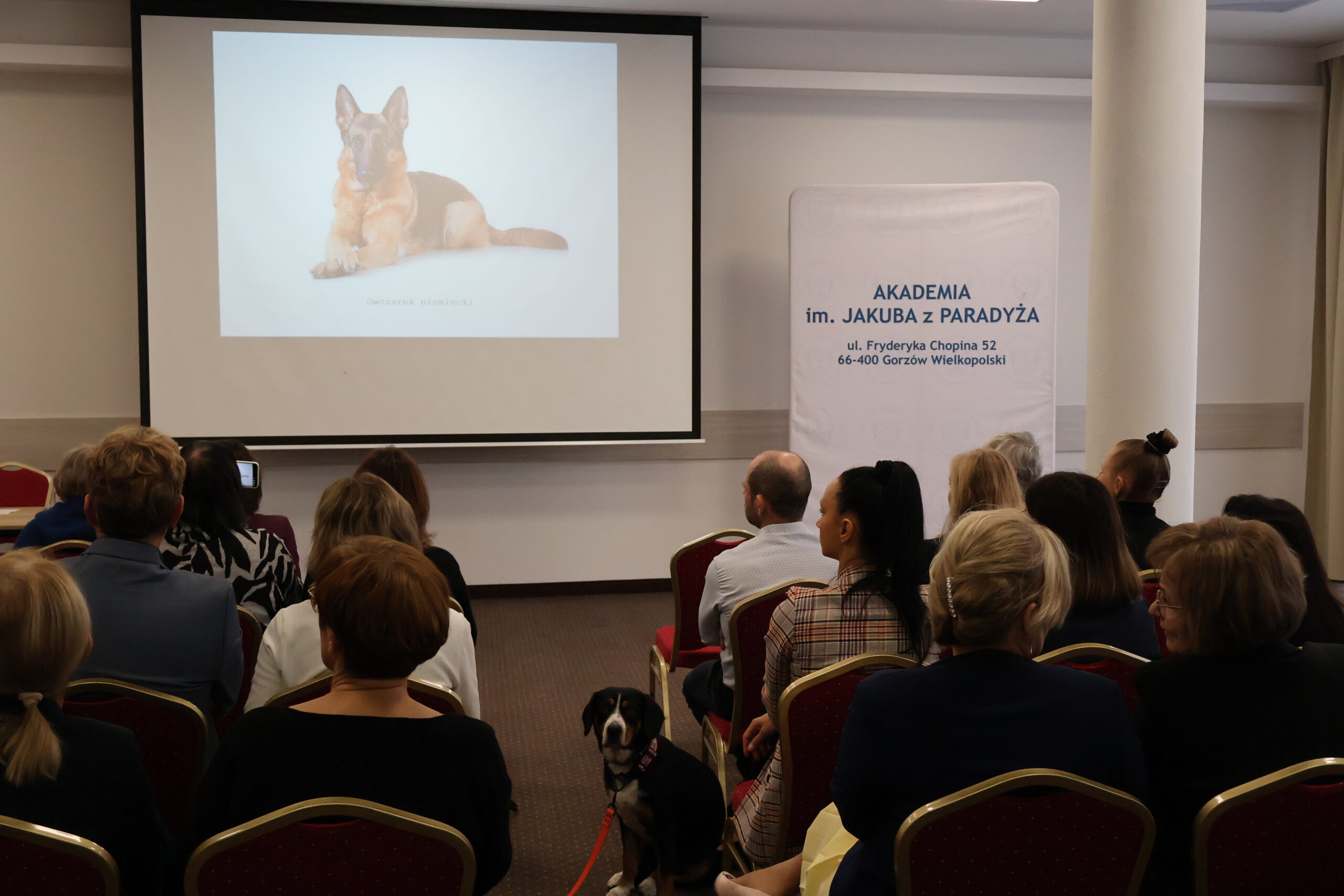 Na zdjęciu: slajd z wizerunkiem owczarka niemieckiego oraz uczestnicy konferencji