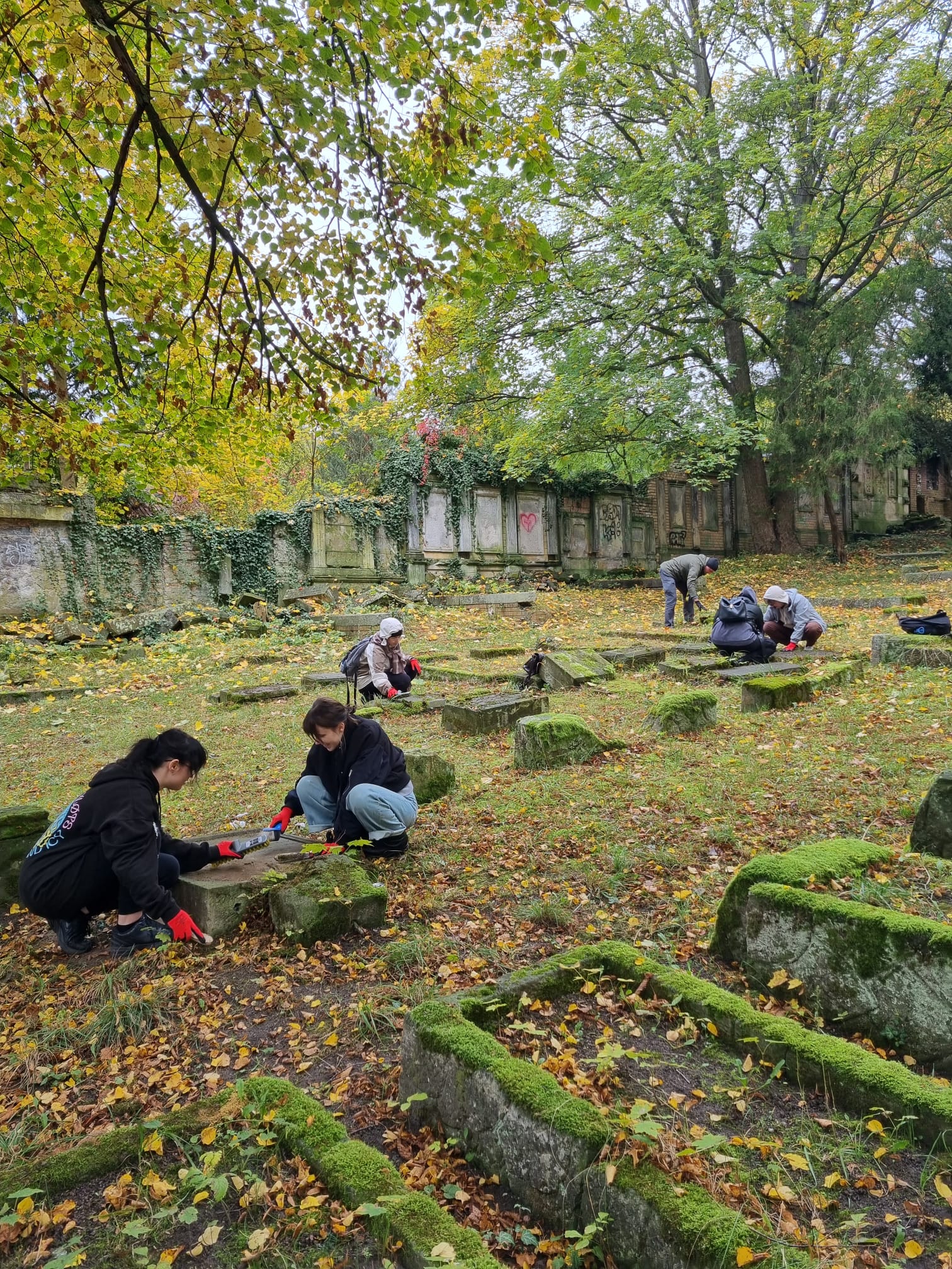 Studenci filologii polskiej i niemieckiej jako wolontariusze wzięli udział w akcji porządkowania dawnego cmentarza żydowskiego w Gorzowie Wielkopolskim.