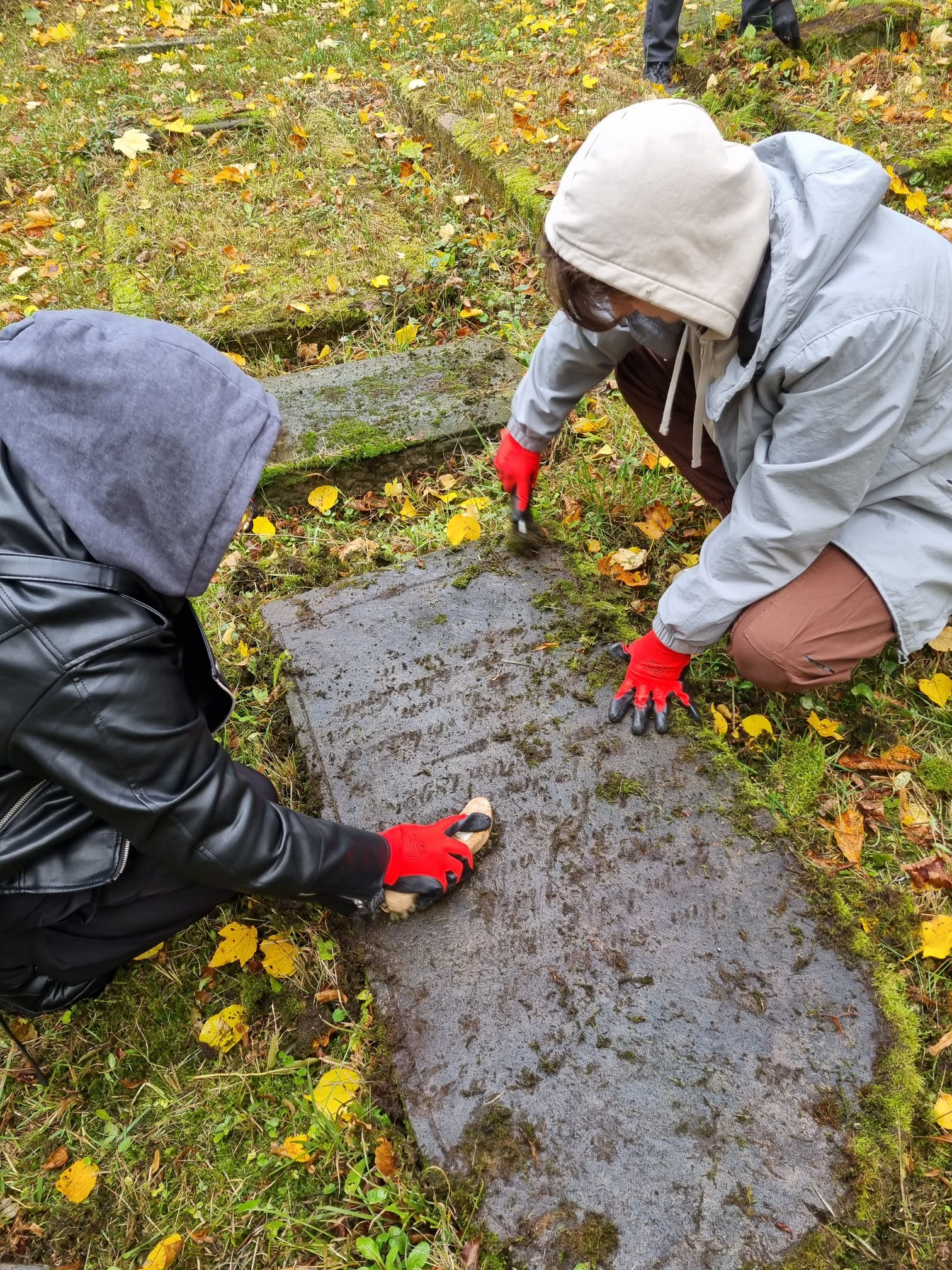 Studenci filologii polskiej i niemieckiej jako wolontariusze wzięli udział w akcji porządkowania dawnego cmentarza żydowskiego w Gorzowie Wielkopolskim.