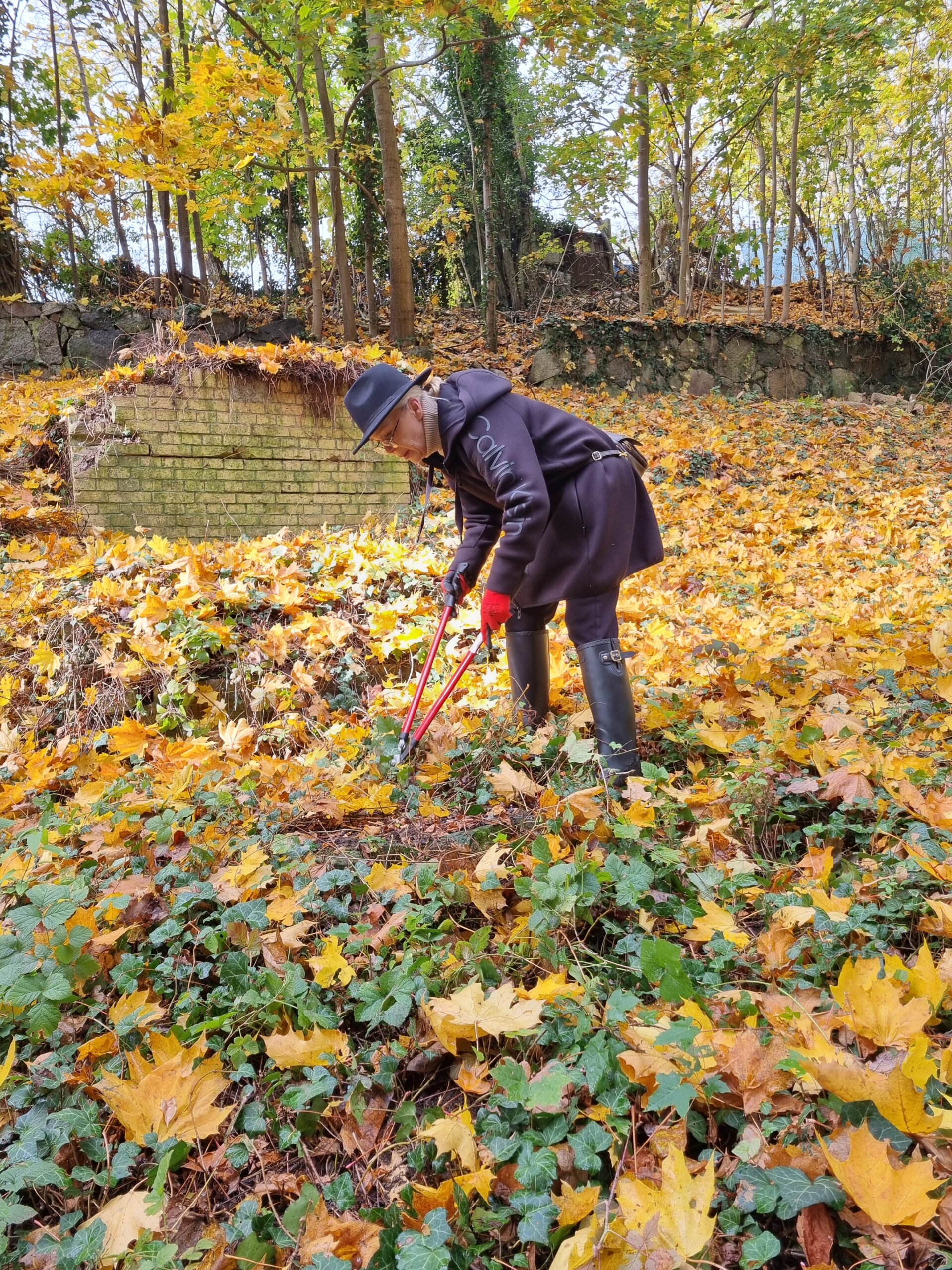 Studenci filologii polskiej i niemieckiej jako wolontariusze wzięli udział w akcji porządkowania dawnego cmentarza żydowskiego w Gorzowie Wielkopolskim.