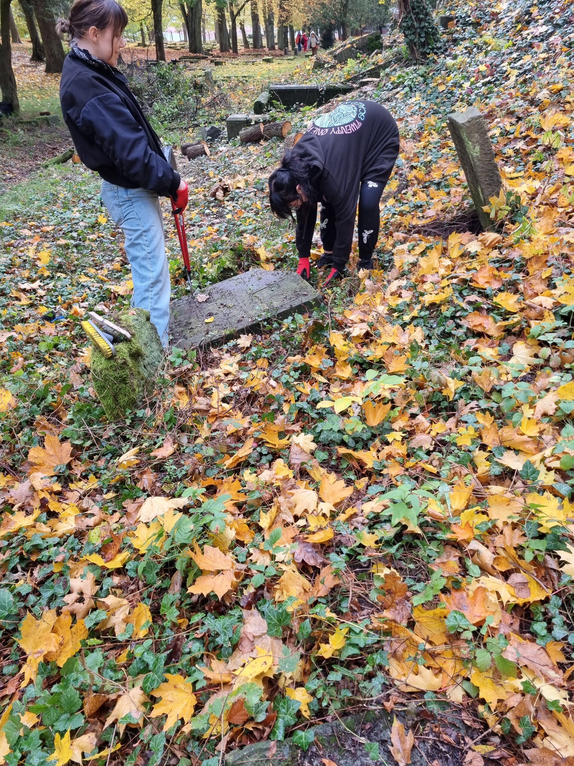Studenci filologii polskiej i niemieckiej jako wolontariusze wzięli udział w akcji porządkowania dawnego cmentarza żydowskiego w Gorzowie Wielkopolskim.