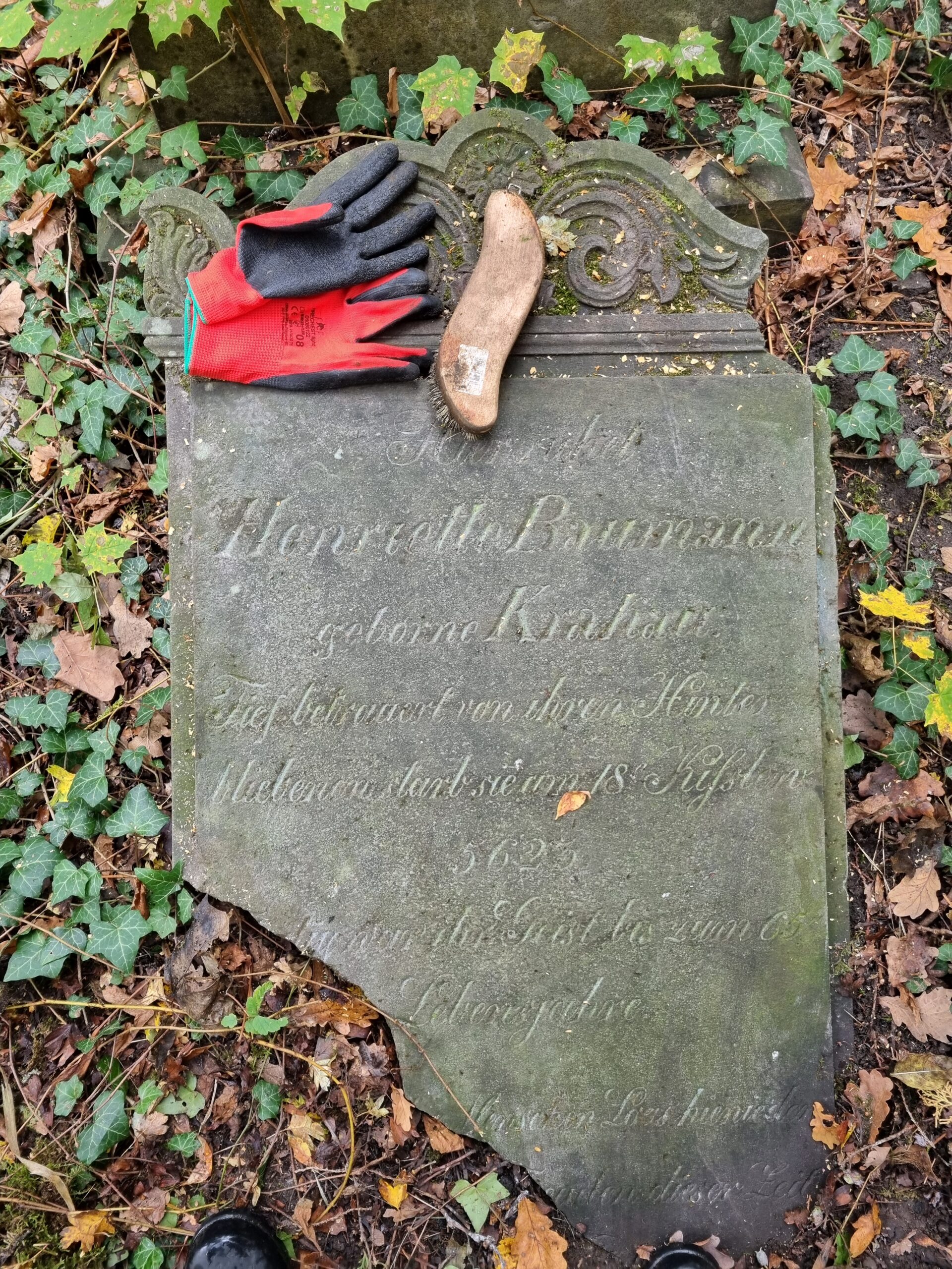 Studenci filologii polskiej i niemieckiej jako wolontariusze wzięli udział w akcji porządkowania dawnego cmentarza żydowskiego w Gorzowie Wielkopolskim.