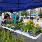 Grupa pracowników AJP podczas akcji wymień elektrograty na kwiaty.