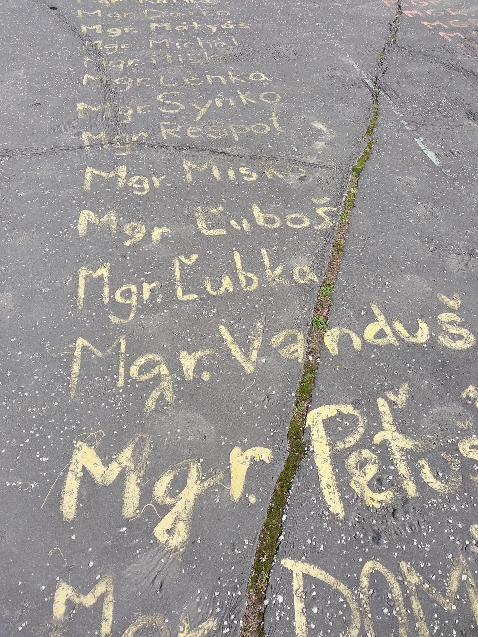 Pamiątka studentów po obronie