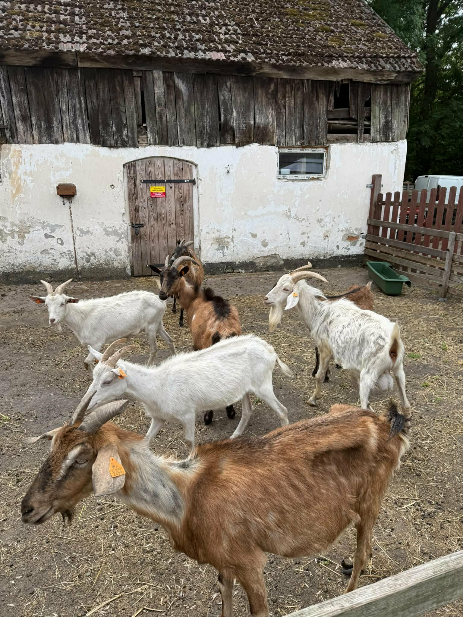 Studentki II i III roku turystyki i rekreacji w gospodarstwie „Farma u Michałów"