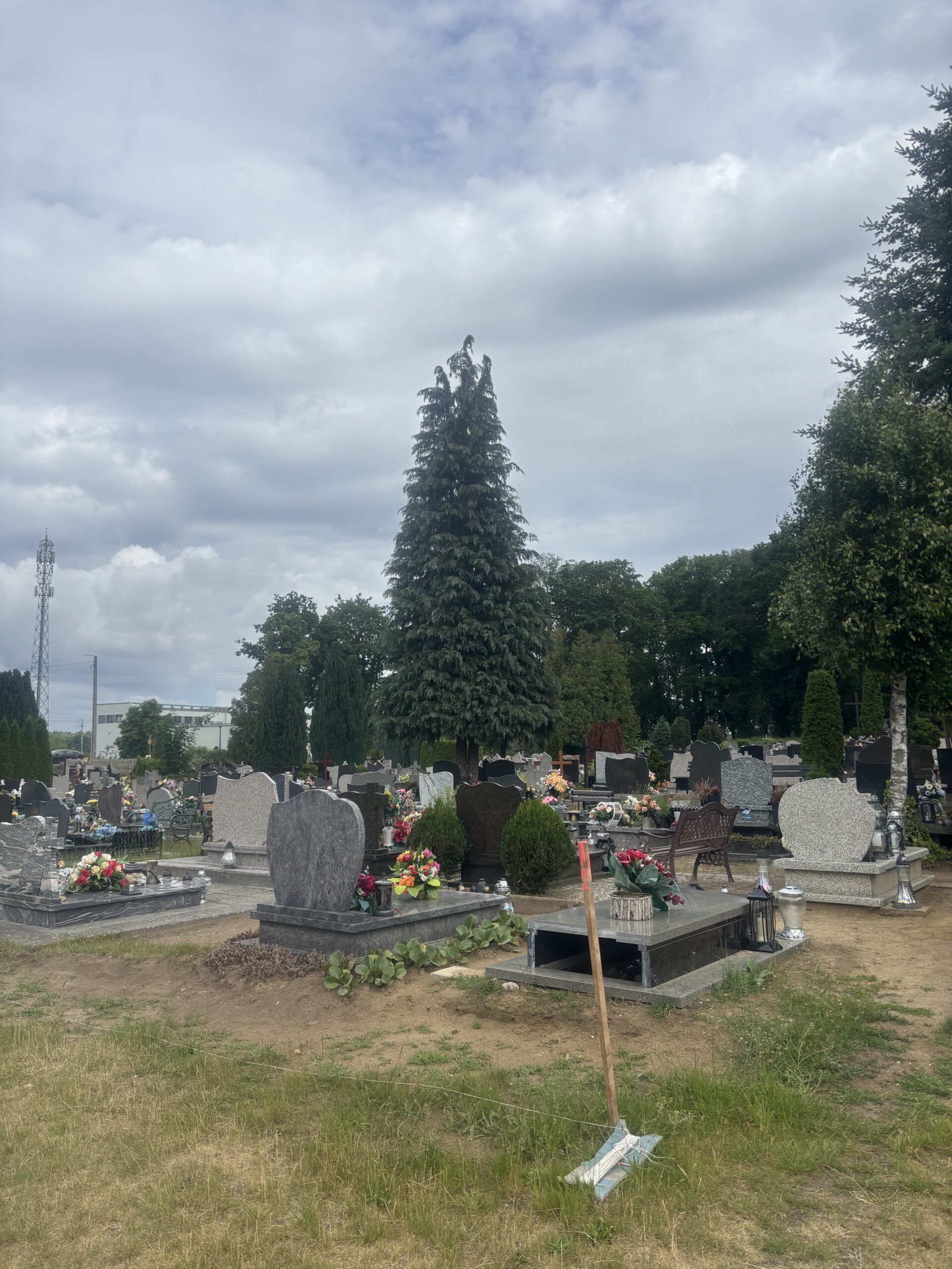 Cmentarz w Kłodawie