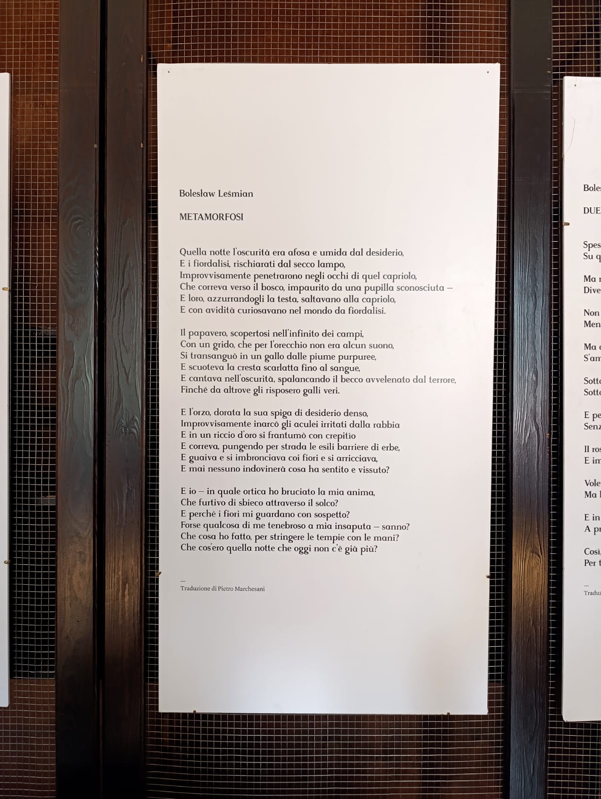 27. Wiersz Bolesława Leśmiana pt. Metamorfoza w j. włoskim